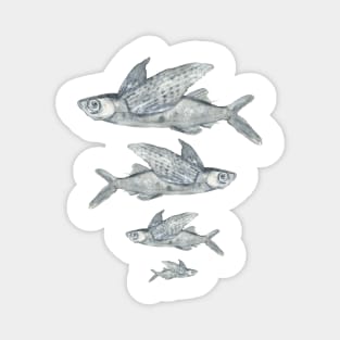 Flying fish Magnet