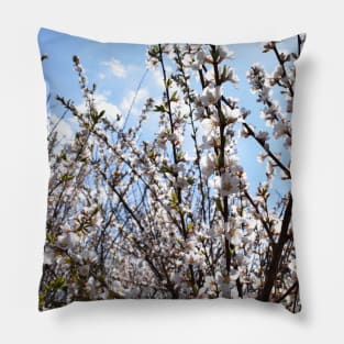 Branches with Tiny Pink Flowers Photograph Pillow