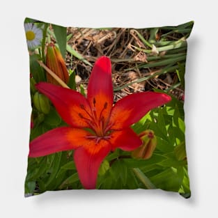 Bold Lillies Pillow