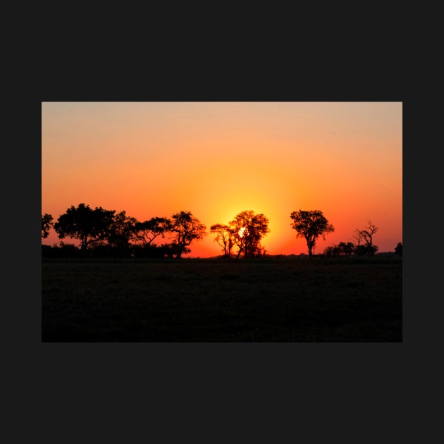 Sunset over the African landscape by Steves-Pics