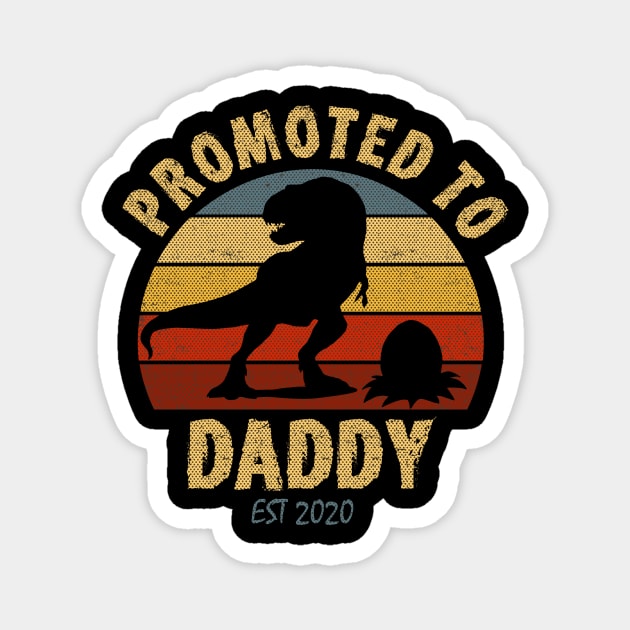 Promoted to Daddy 2020 co Magnet by hadlamcom