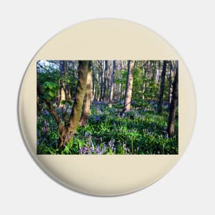 Dappled sunshine in Bluebell Woods Pin