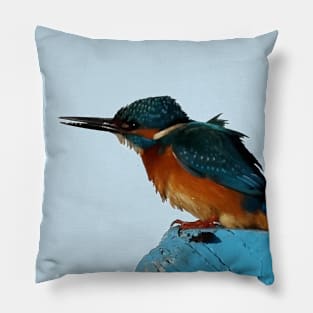 Turquoise Blue Fishing Bird Vector Art Pillow