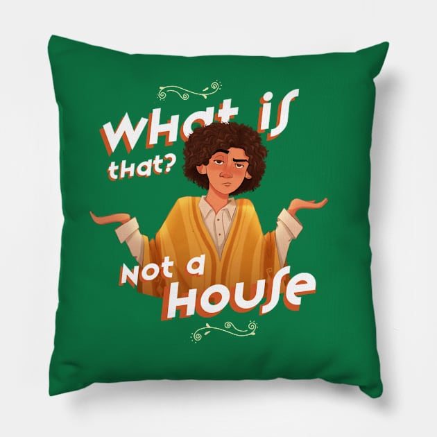 What is That? Not a House Pillow by Hamnah Rizwan