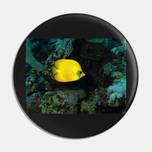 Red Sea Gold Pin