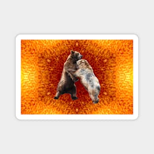 Bear Fight / Swiss Artwork Photography Magnet