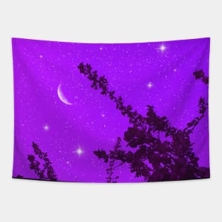 Purple Sky Tapestry