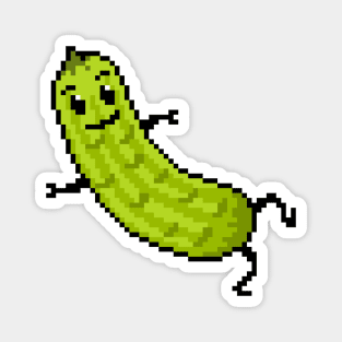 Pixel Pickle Magnet