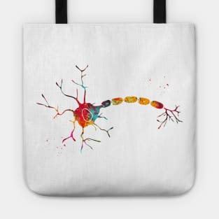 Anatomy of a typical human neuron Tote