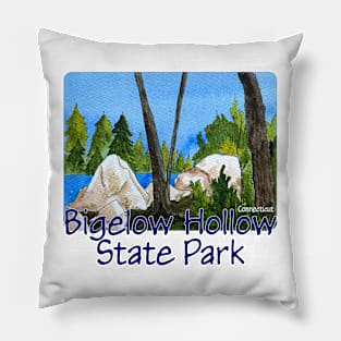 Bigelow Hollow State Park, Connecticut Pillow