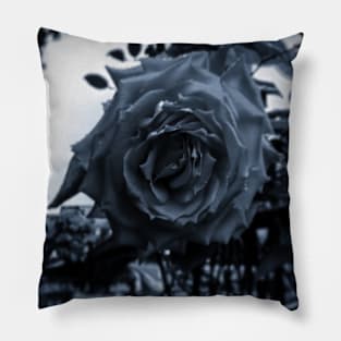 Whiter Rose Pillow