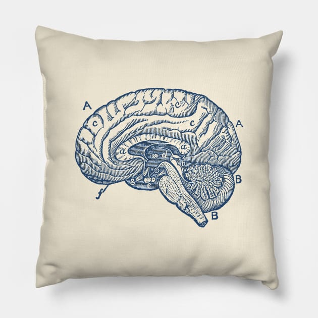 Simple Brain Diagram Pillow by Vintage Anatomy Prints