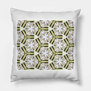 Basilica Kaleidoscope 5 Pillow