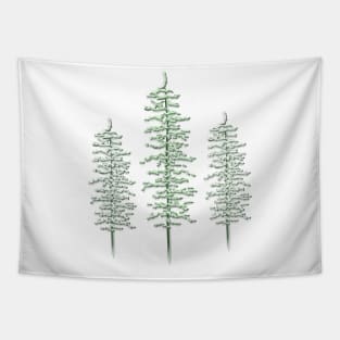 Pine trees Tapestry