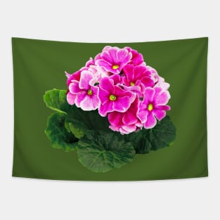 Pink Geranium Cluster Tapestry