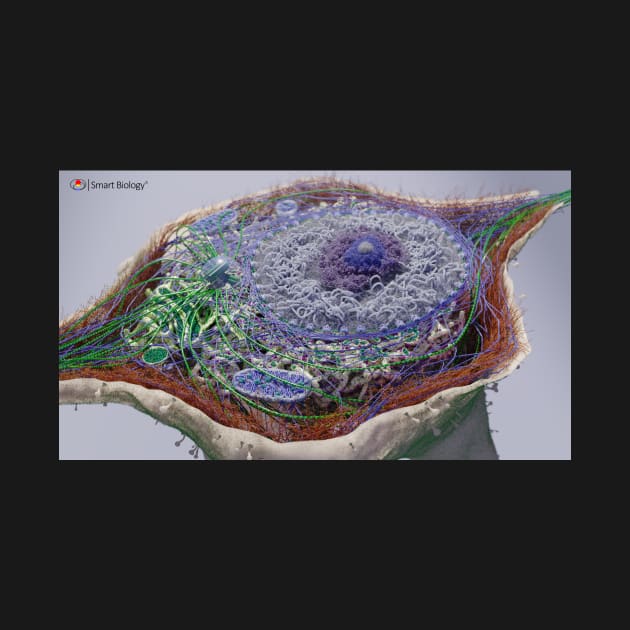 Eukaryotic Cell by Smart Biology