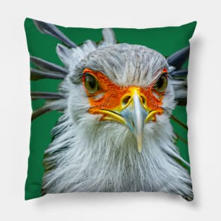 Secretary Bird Pillow