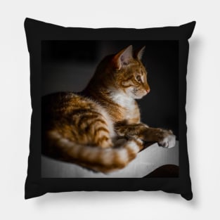 Weasley the ginger tabby Pillow