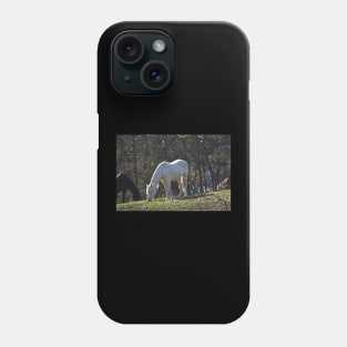 Wild Horse Phone Case