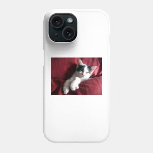 Cat in red Phone Case