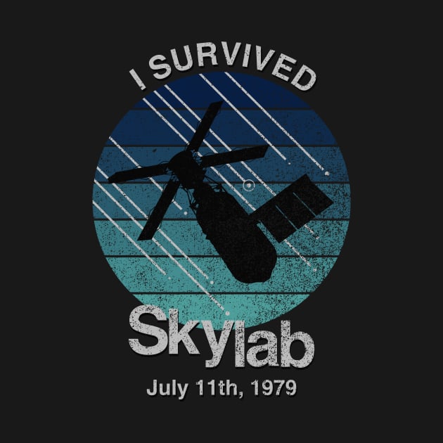 I Survived Skylab by GloopTrekker