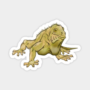 Green Iguana Magnet