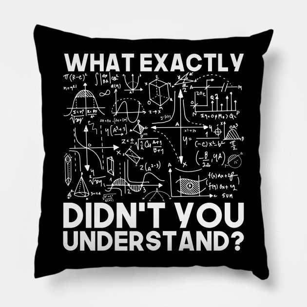 Physics Equation Humor Science Pillow by shirtsyoulike