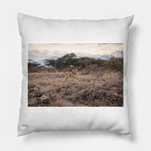 Wild life design Pillow