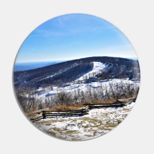 Wintergreen Virginia Pin