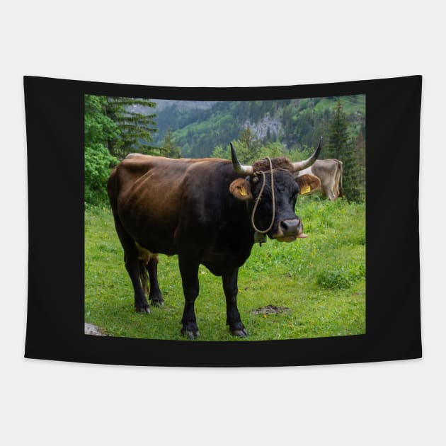 Swiss Cow 2 Tapestry by photosbyalexis