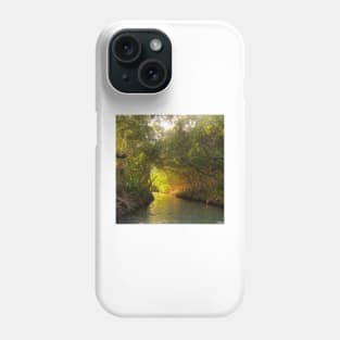 la perguera puerto rico mangrove wetland landscape photograph ecopop art Phone Case