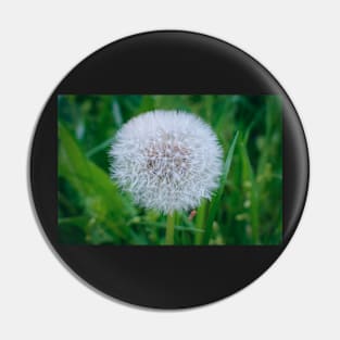 Dandelion Pin