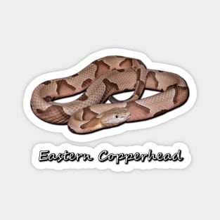 Eastern Copperhead Magnet