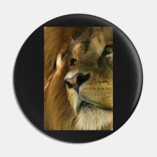 Lion head close-up Pin