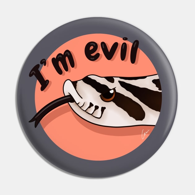 Superarctic Western Hognose Snake, "I'm evil" Pin by anacecilia