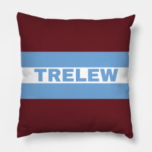 Trelew City in Argentine Flag Colors Pillow