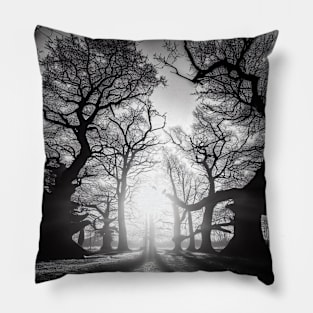 Sunlit Grove: Monochrome Majesty Pillow