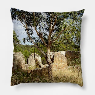 Abandoned Cottage Ruin Pillow