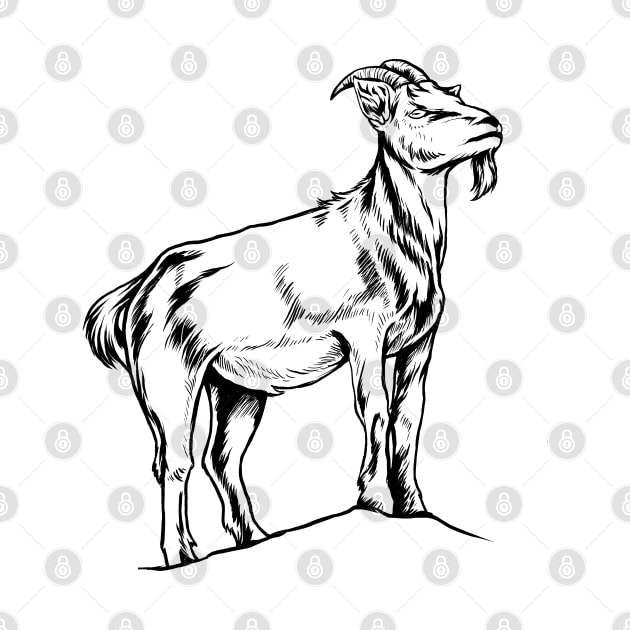 Line drawing - goat by Modern Medieval Design