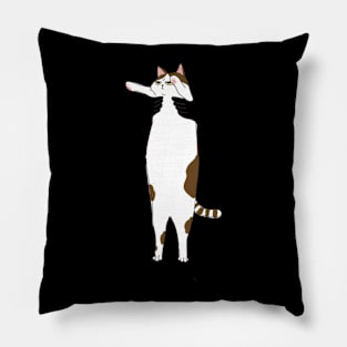 Cat lovers Pillow