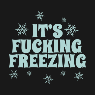 It's Fucking Freezing Funny Winter Weather Alert T-Shirt