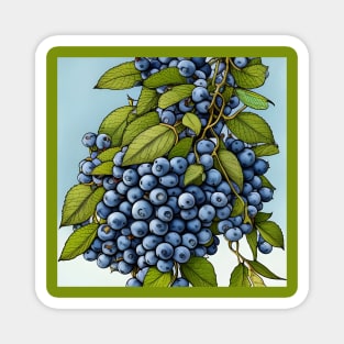 Fresh Blueberries Magnet