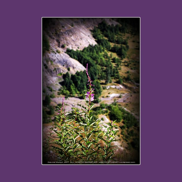 wildflowers over cliff edge Johnston's Ridge by DlmtleArt