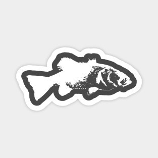 Bass white print Magnet