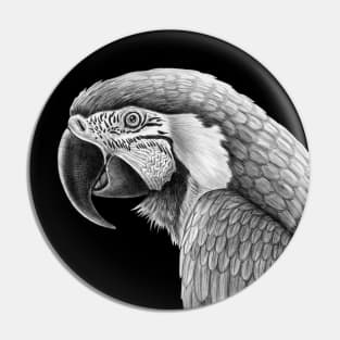 Macaw Pin