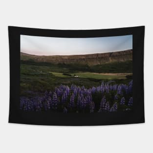 Lupine Flowers in Blossom During Midnight Sunset in Iceland Tapestry