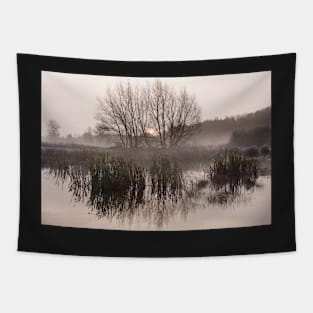 Water Meadow Mist Tapestry