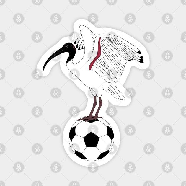 Bin Chicken Soccer Magnet by BinChickenBaby