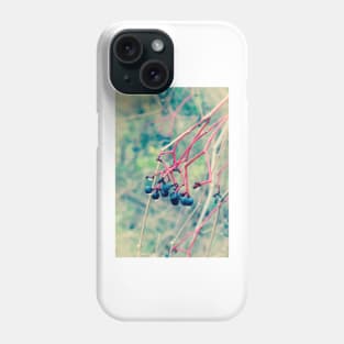 Dogwood Berries 2 Phone Case