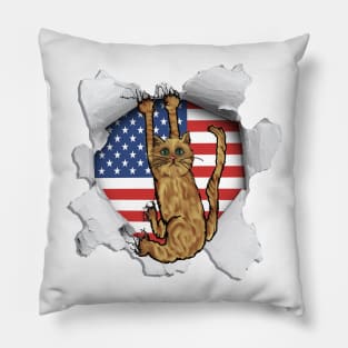 Funny Cat American Flag Cat Lover Gifts Pillow